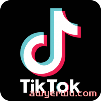 TikTok 的广告类型有哪些?如何在 TikTok 上做广告
