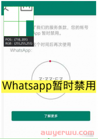 WhatsApp被禁原因及解封邮件（内附模板）