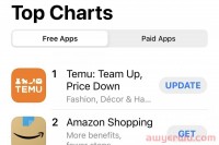 揭秘！Temu的低价策略是如何俘获美国人芳心的？