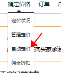 如何落地快速解决亚马逊跟卖问题？？