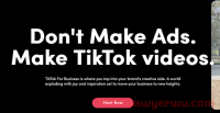 商业版 TikTok：6 种使用它来提升品牌的方法