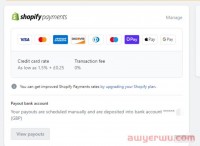 2023年跨境独立站收款最全攻略