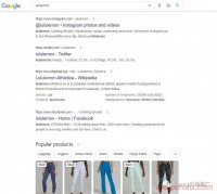 社交媒体如何帮独立站引流,占据谷歌页面第一页