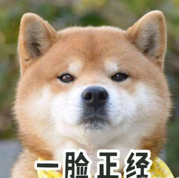 海外网红频道数据分析- 如何快速筛选适合合作的网红 第1张