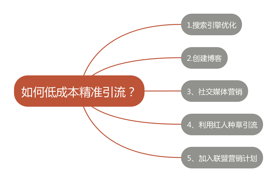 独立站新手卖家如何低成本精准引流？ 第2张