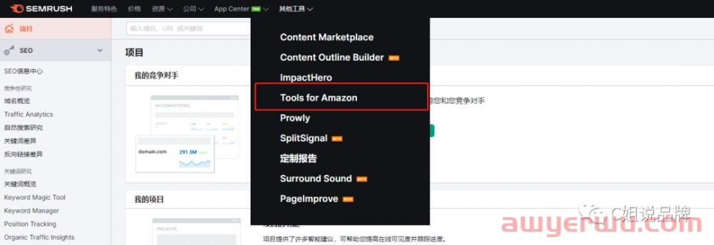 亚马逊竞品站外推广查询工具都有哪些？ 第5张