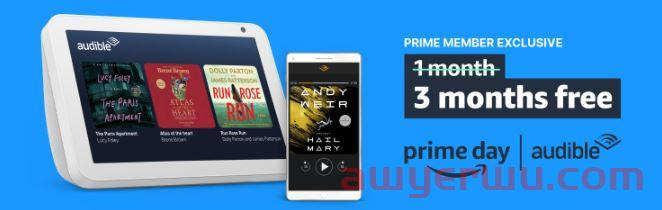 亚马逊 Prime Day会员日结果：2022 年分析和关键见解 第3张