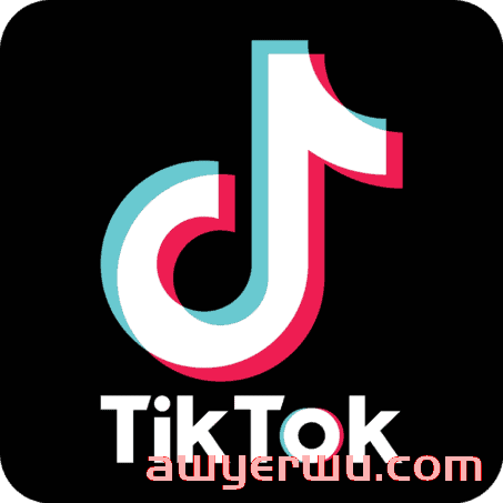 TikTok 的广告类型有哪些?如何在 上做广告 第1张 TikTok 的广告类型有哪些?如何在 上做广告 第1张