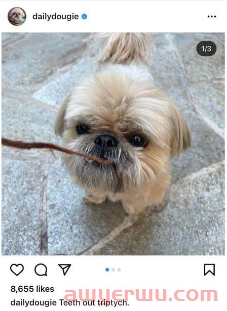 Instagram 算法在 2022 年如何运作？ 第8张