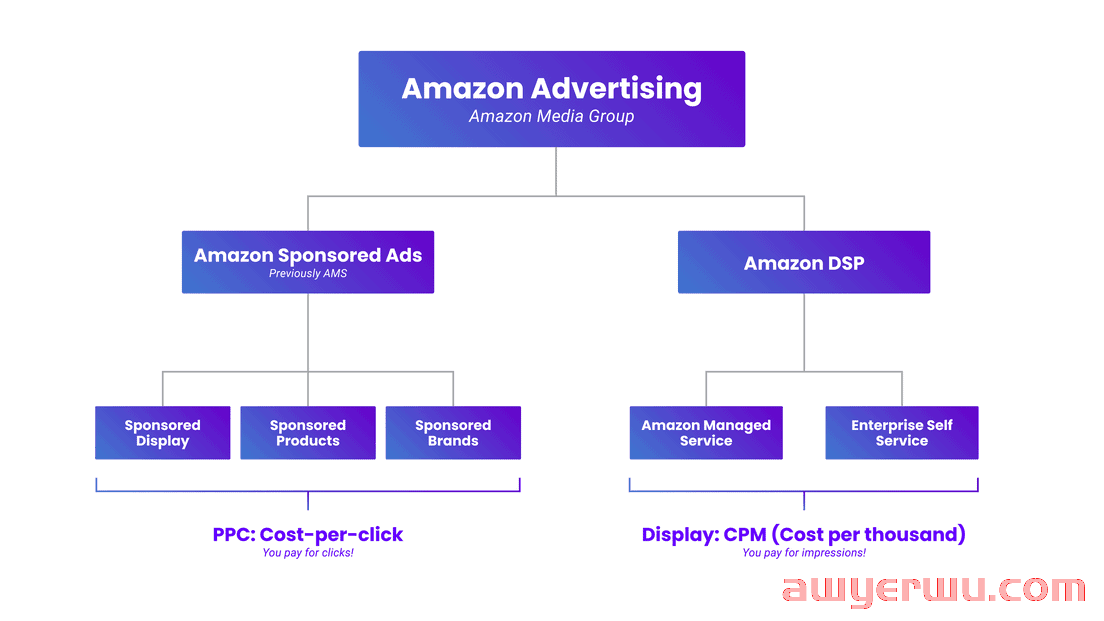 2022 年如何在亚马逊平台上销售：开店、设置、费用、listing、物流和策略 第7张