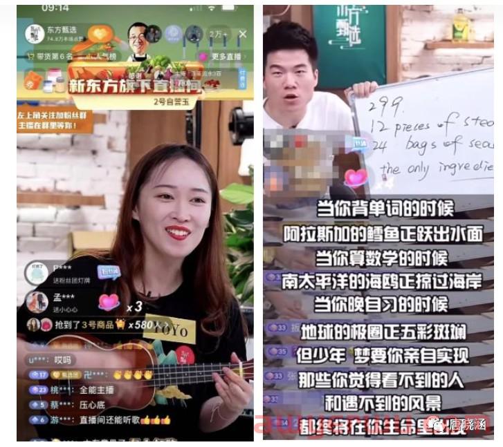新东方直播带货爆火：最牛逼的销售就是降维 第1张