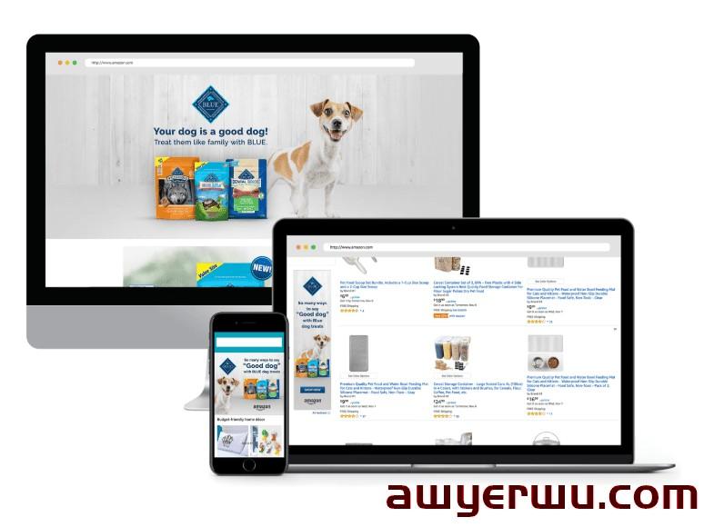 什么是亚马逊需求方平台？谁可以使用 Amazon DSP？ 第3张