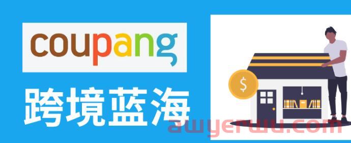 全球电商企业中，年增长率排名第一竟然是Coupang？ 第1张