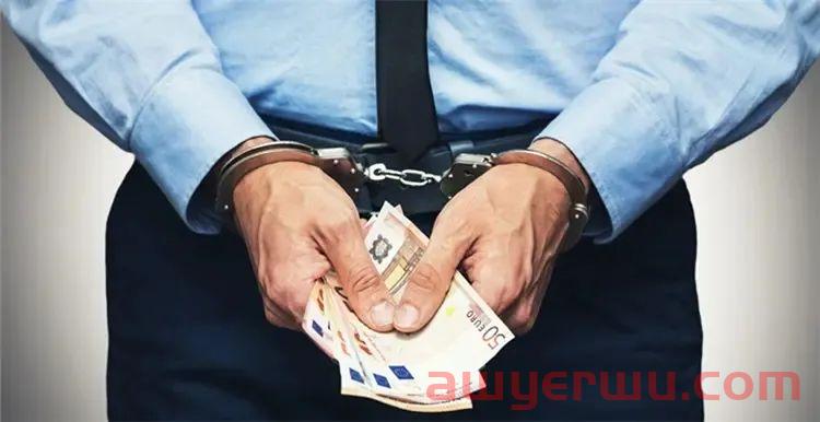  亚马逊被骗130万！特大诈骗案告破！骗了平台骗卖家，判了！一年半监禁、巨额赔偿！这一漏洞竟成了“生财”通道？ 第2张
