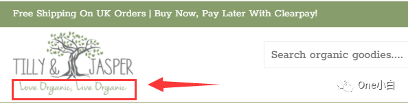  Shoptimized 主题的 Shopify 产品页面的产品页面设计要素分析 第4张
