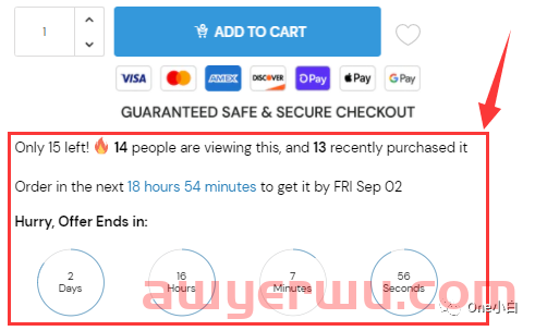  Shoptimized 主题的 Shopify 产品页面的产品页面设计要素分析 第23张