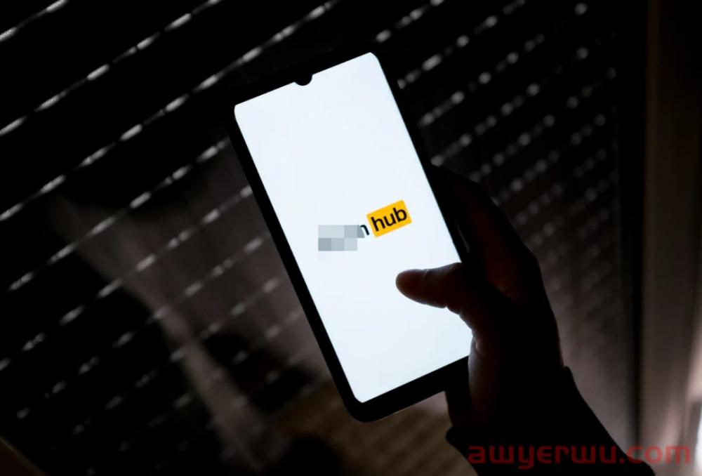 PornHub的官方账号被Instagram删了,国外运营社交媒体也打不了擦边球 第1张