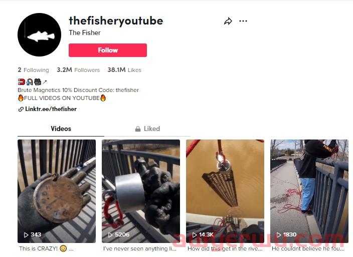 “磁力钓鱼”风靡TikTok，亚马逊相关产品暴增115% 第4张