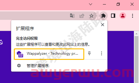 【独立站】Wappalyzer是什么？如何安装？如何使用？ 第8张