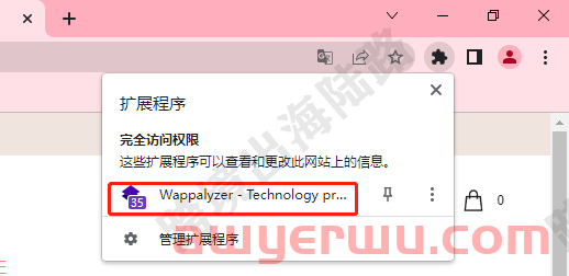 【独立站】Wappalyzer是什么？如何安装？如何使用？ 第11张