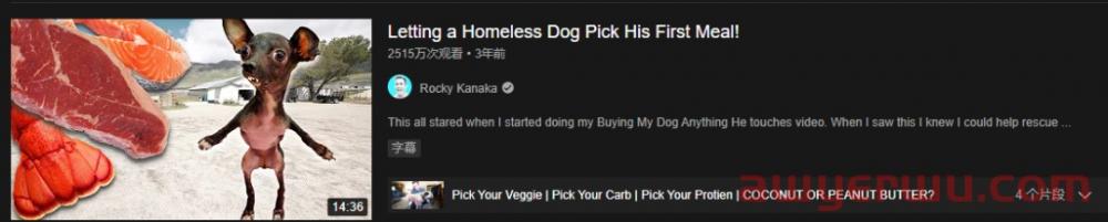 Meal-Kit行业如何在YouTube进行KOL营销？ 第4张