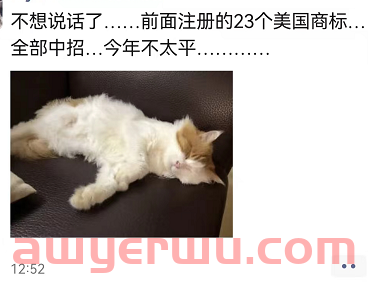 10000+商标或面临制裁风险，美国商标局盯上深圳某知名商标公司！ 第8张