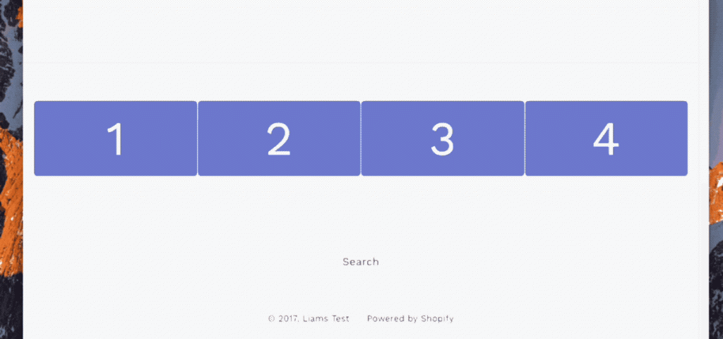 在亚马逊和 Shopify 上销售的 5 个主要区别 第2张
