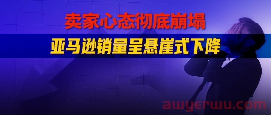 逆风翻盘!不打价格战不内卷!这位卖家抓住这一点,亚马逊高客单价产品冲到新品第一... 第1张 逆风翻盘!不打价格战不内卷!这位卖家抓住这一点,亚马逊高客单价产品冲到新品第一... 第1张