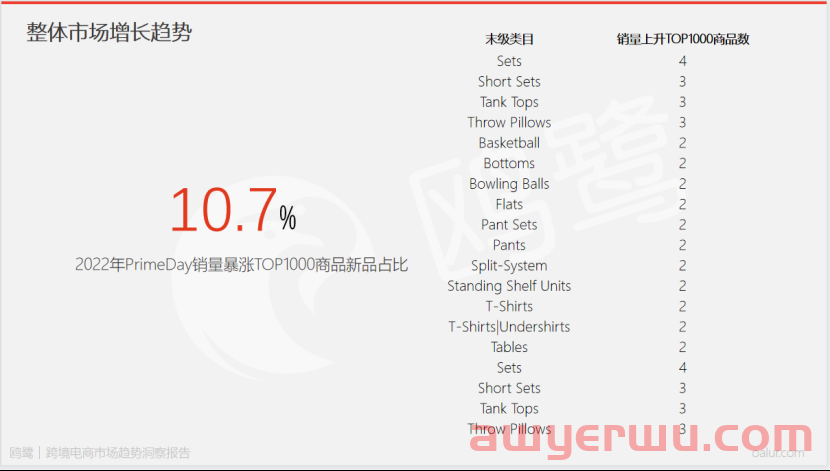 复盘亚马逊2022 Prime Day爆品特征，两个市场变化不容忽视！ 第5张