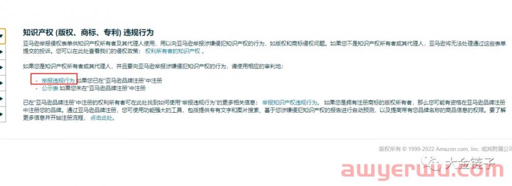 大金链子：亚马逊如何举报对手抄袭你的图片？商标专利侵权如何举报对手？ 第4张