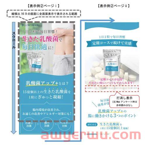 景品表示法,跨境电商卖家必须去了解,不然会挨锤 第13张 景品表示法,跨境电商卖家必须去了解,不然会挨锤 第13张