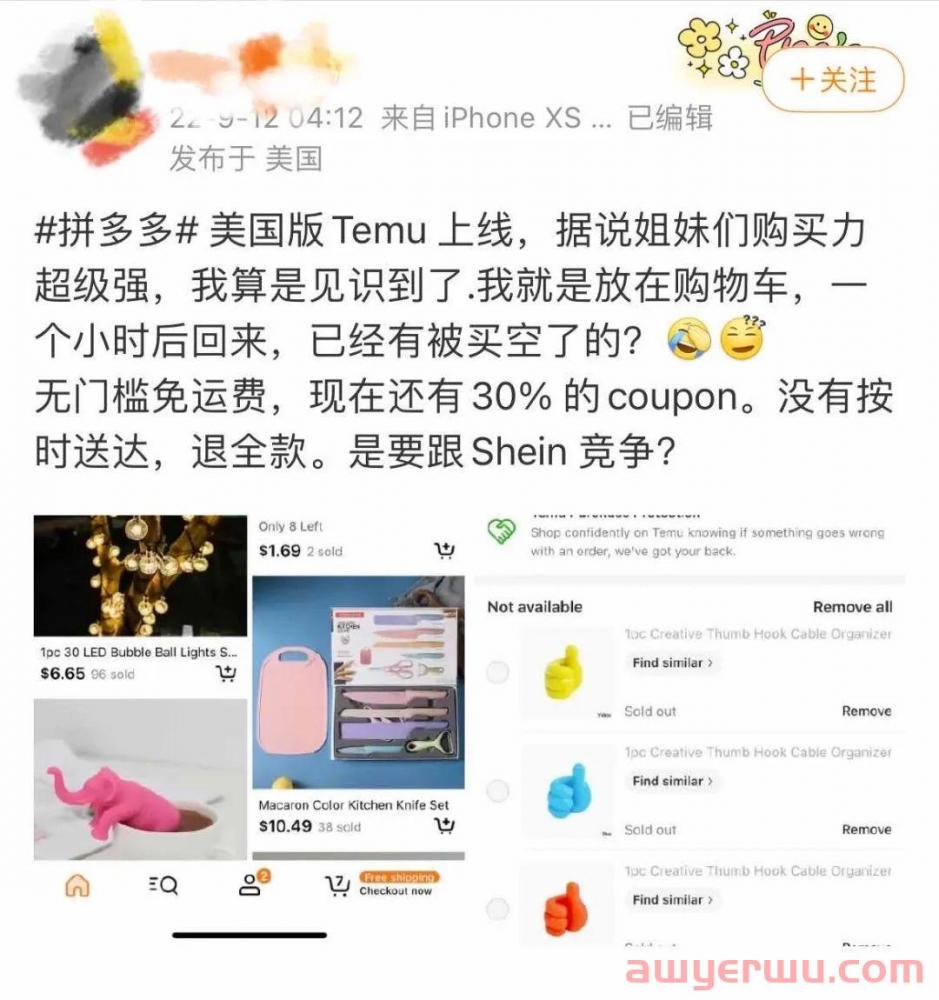 暴低至0.01美元！“卷王”拼多多Temu在美国杀开一条血路了吗？ 第2张