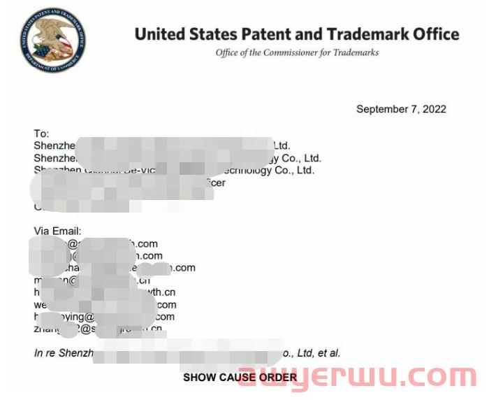 波及13000+卖家！商标或被撤销和处罚！恐为最大规模美国商标爆雷！PDF文件已经在行业中传播…… 第1张