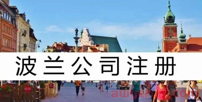 注册波兰公司合规经营 两周即可获得营业执照和税号 第1张