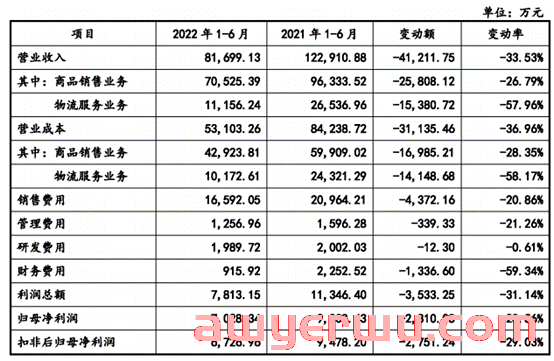 2022期中成绩单出炉！8家跨境电商大卖上半年业绩PK，最大赢家营收62亿！ 第10张