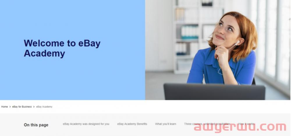 升级卖家扶持政策,eBay免费开放自助学习平台 第2张 升级卖家扶持政策,eBay免费开放自助学习平台 第2张