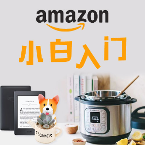 我对亚马逊选品中“远离侵权”的理解 第1张