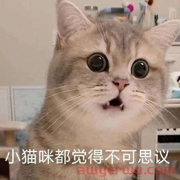 杀疯了！拼多多Temu进驻美国！1块钱不到还包邮？ 第2张