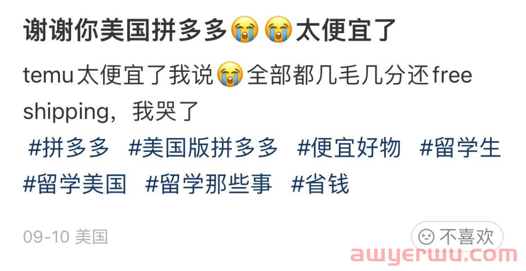 杀疯了！拼多多Temu进驻美国！1块钱不到还包邮？ 第15张