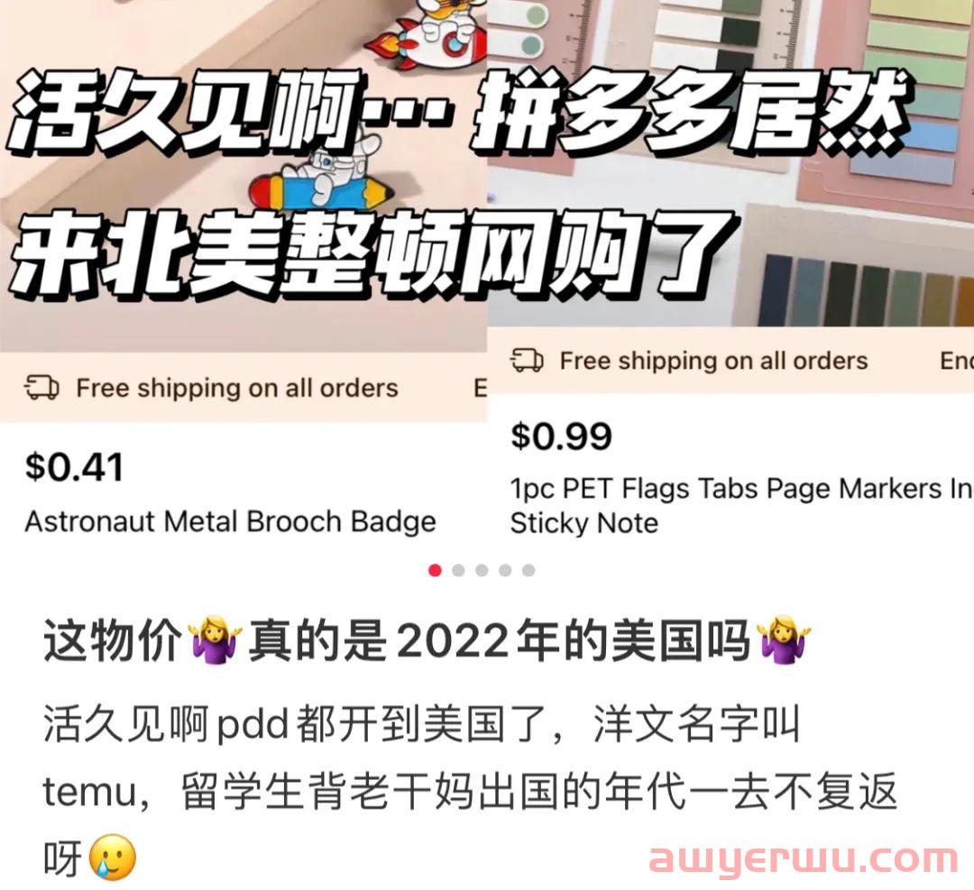 杀疯了！拼多多Temu进驻美国！1块钱不到还包邮？ 第16张