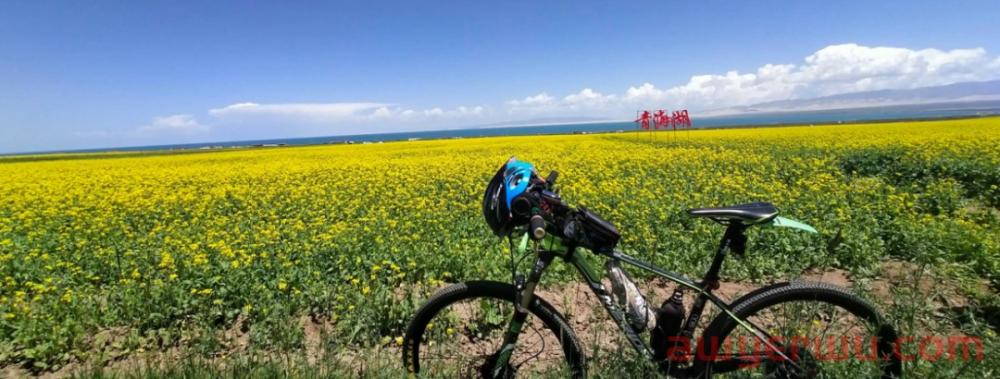 有多少跨境电商卖家去过精神病院?我就去过! 第1张 有多少跨境电商卖家去过精神病院?我就去过! 第1张