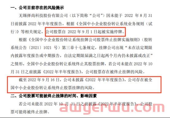 半年报难产,跨境上市大卖泽尚面临终止挂牌风险! 第2张 半年报难产,跨境上市大卖泽尚面临终止挂牌风险! 第2张