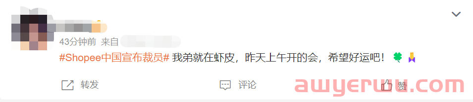 大规模裁员、“N+2”赔偿！Shopee为何急剧收缩？ 第2张