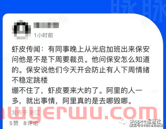 Shopee大裁员！公司持续亏损！股价暴跌！保安开会防跳楼 第2张