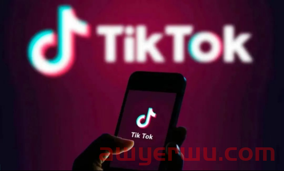 与卷王拼多多比低价？TikTok小店即将进入美国市场 第2张