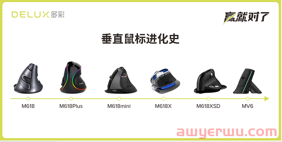 稳居畅销榜、实现流量闭环！中国名牌多彩实业屡造Shopee爆款！ 第4张