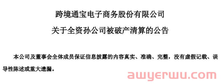 顶级大卖跨境通旗下又一公司破产！ 第1张