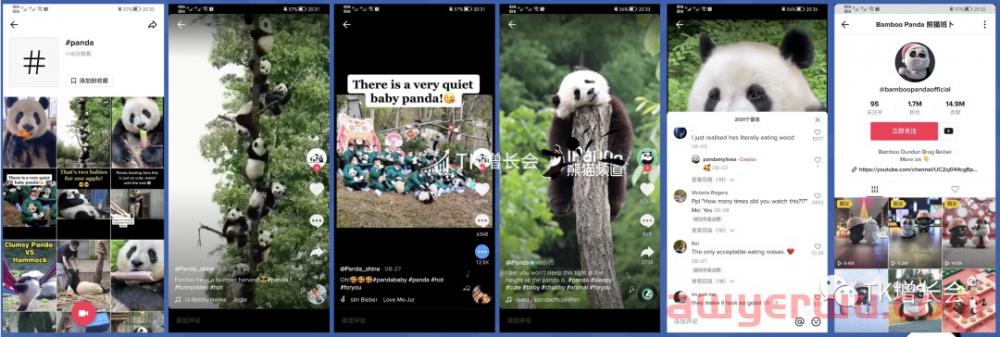盘点那些在TikTok爆火的中国文化元素 第3张