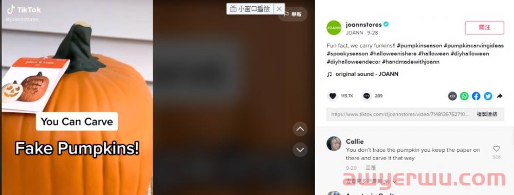 TikTok万圣节标签这么用，还怕不火？ 第8张