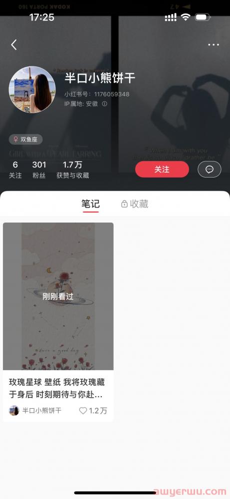 小红书空有爆文毫无意义 第2张